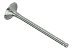 495BPG/498BPG Exhaust Valve