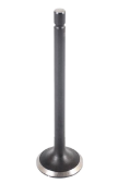 JX493G/JX493G3 Exhaust Valves