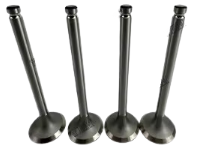 Isuzu 4BC2 Exhaust Valve